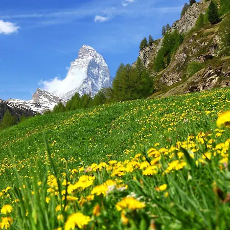 Turquino By Interhome Zermatt